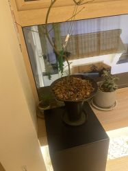 -AGE LOCK 锁龄美肌