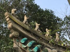-武汉大学-樱园