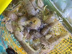 -坛南湾阿强农家乐.海鲜大排档老字号(福州地标美食店)