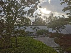 -上海滨江森林公园