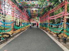 -雪山彩虹谷景区