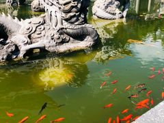 -三塔倒影公园