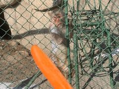 -新疆天山野生动物园