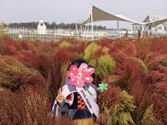 -天津东丽湖风景区