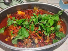 -黔渔翁豆花渎鱼(喷水池店)