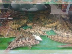 -鲜鲜·鲅鱼圈海鲜(于洪店)