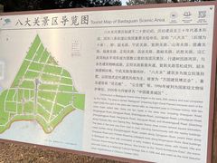 -八大关景区