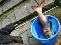 -烟水渔庄餐厅(西溪湿地店)