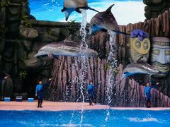 -珠海长隆海洋王国