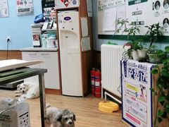 -瑞派·关忠动物医院·异宠专科·犬猫肿瘤·皮肤专科(望京店)