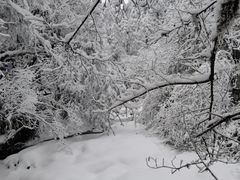 -龙苍沟森林公园
