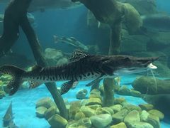 -多彩贵州城极地海洋世界