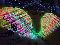 -巨鹏飞梦幻海岸
