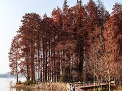 -东湖落雁景区