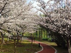 -江南大学(蠡湖校区)