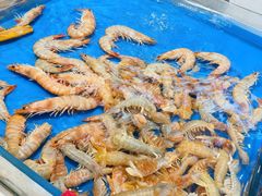 -北塘海鲜·天津菜(大光明桥旗舰店)
