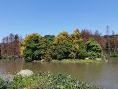 -海珠湖公园