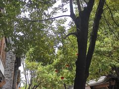 -浮来山风景区