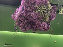 -浩海火烧云傣家菜(京广店)
