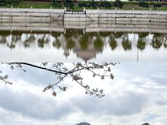 -横店圆明新园