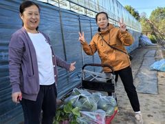 -庞各庄翠芳园西瓜蔬菜基地采摘园