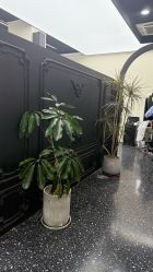 -Hair Co.一间沙龙