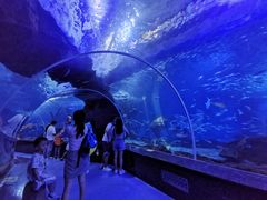 -多彩贵州城极地海洋世界