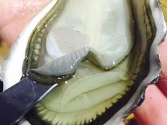 -KAOTOWN烤堂•烧烤(海汇港店)