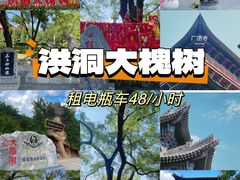 -大槐树寻根祭祖园