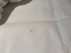 -喀纳斯禾木山庄