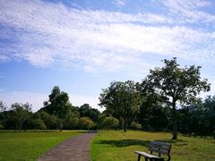 -福建鲤鱼洲酒店