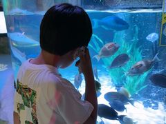 -沈阳海洋探索中心