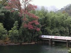 -祁门牯牛降观音堂风景区
