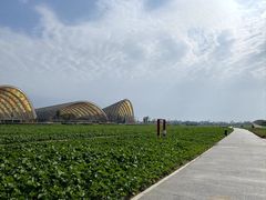 -中国天府农业博览园