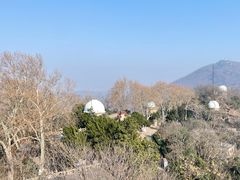-紫金山山顶公园