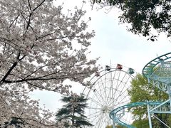 -红山森林动物园