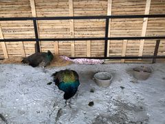 -嘉兴清池酒店温泉