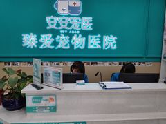-安安宠医·臻爱宠物医院·宠保定点(营门口路分院)