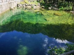 -白云源风景区