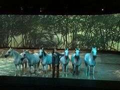 -cavalia·舞马