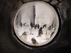 -大连圣亚海洋世界