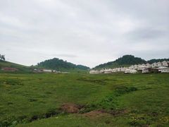 -关山草原