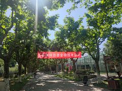 -上海鲜花港