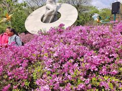 -沈阳植物园