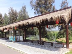 -漩门湾国家湿地公园