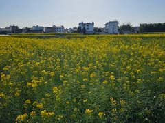 -西溪南古村落