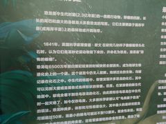 -黄金海岸水上乐园
