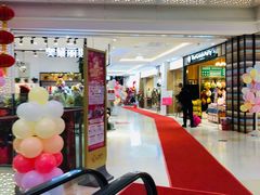 -高新活力汇Vitality