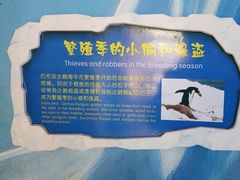 -海合安青岛极地海洋公园