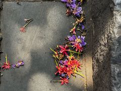 -会安古镇
